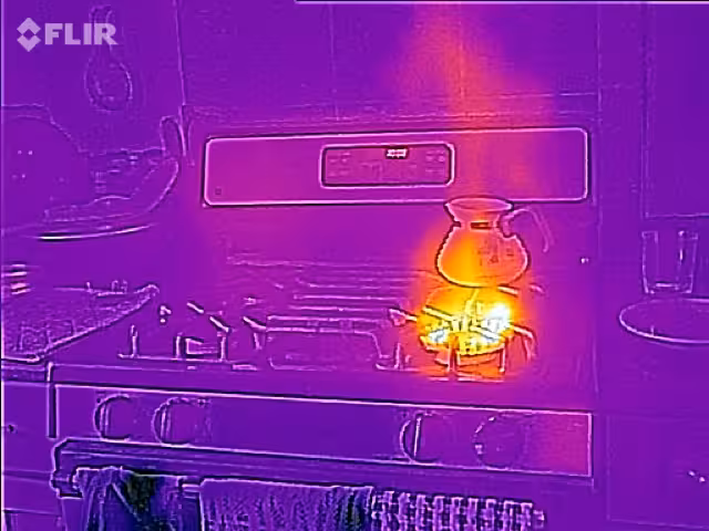 Flir One image