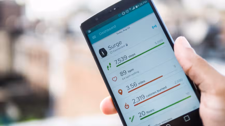 Fitbit metrics