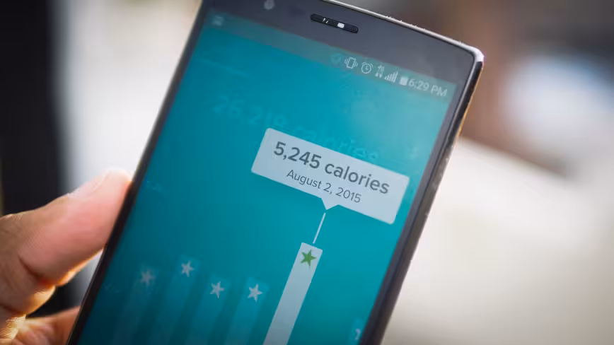 Fitbit calories tracker