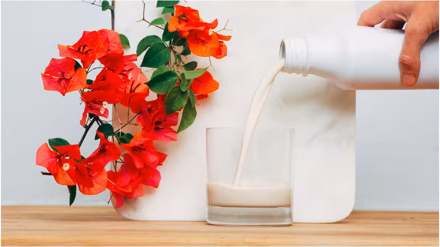 Soylent: For when you want to drink puce liquid in place of living a fully-rounded existence