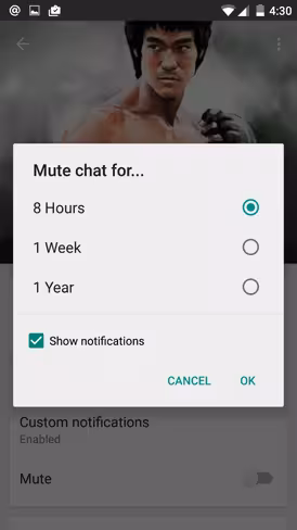You can now mute conversations from individual contacts