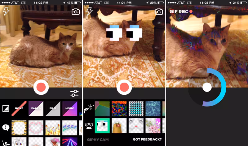 giphy1