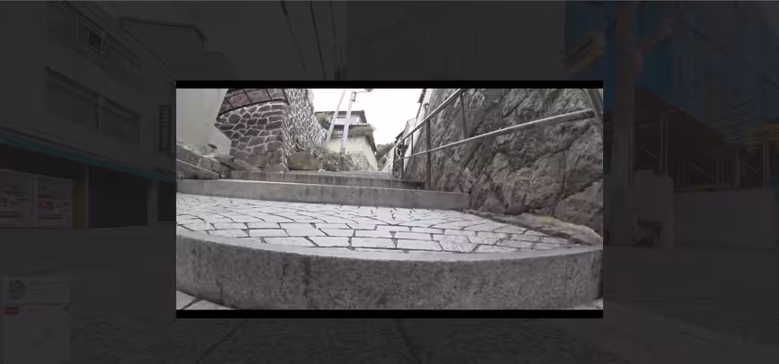 Cat Street View_YT