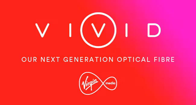 Vivid 3