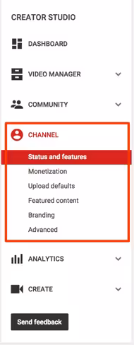 YouTube-Channel-Setting-311x800