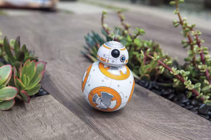 bb8_still_garden_1_legal_1200_801