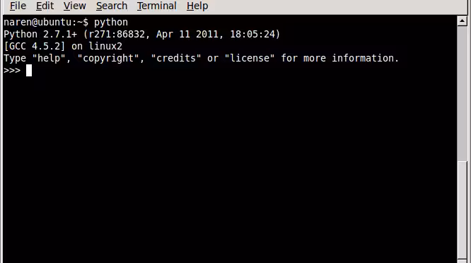 This is what the Python interpreter looks like. 