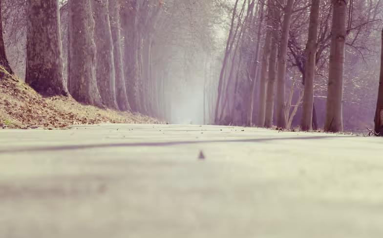 path
