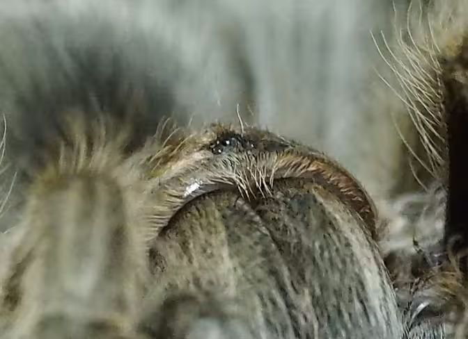 The 100% crop is still plenty sharp, even at ISO 3200