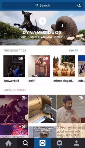instagram-spotlight