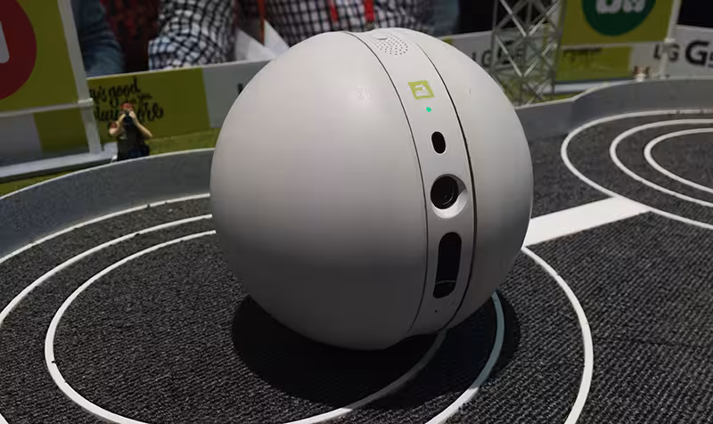 The Rolling Bot can keep an eye on your house, entertain your pets and even turn on your AC
