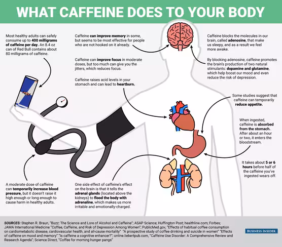 bi-graphics_what-happens-to-your-body-when-you-drink-caffeine
