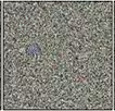pasted image 0-1