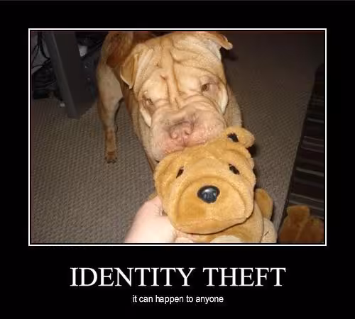 identity theft