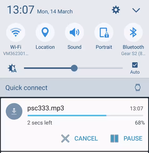 Pause_Chrome