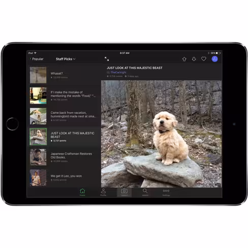puppy-in-iPad