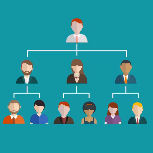 hierarchy, management, business