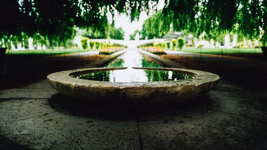 The depth of field in this photo is completely artificial.