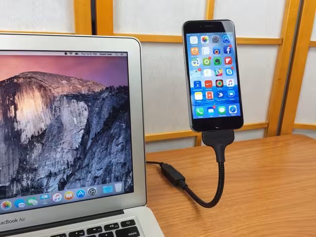 Bobine Blackout Everywhere Mount Desk