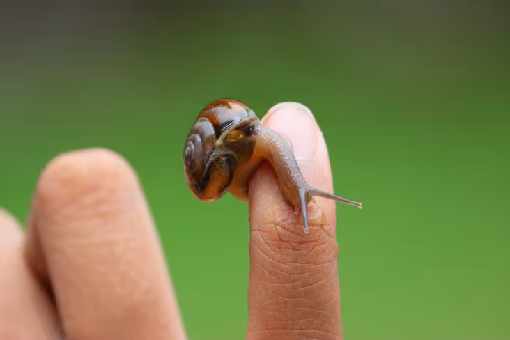 Pratik 1