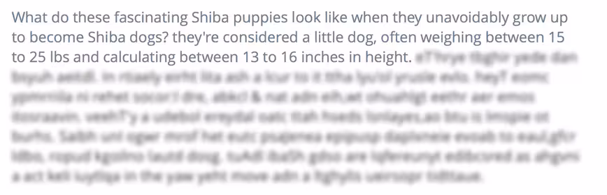 shiba inu