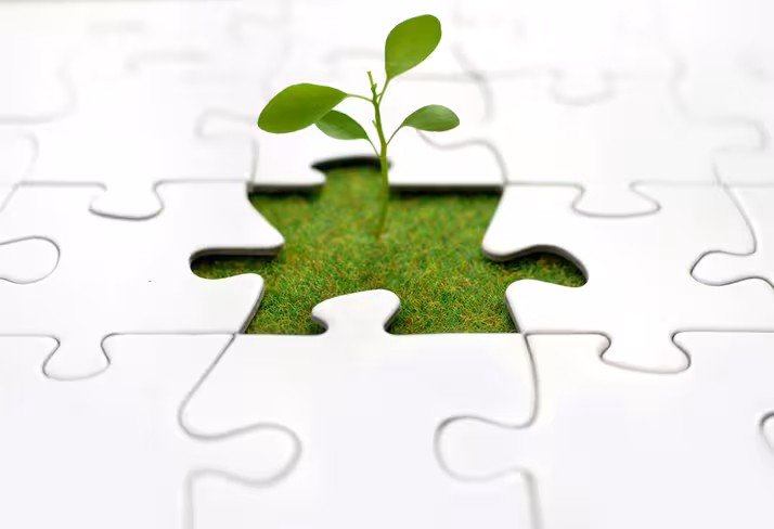 resources, growth, business