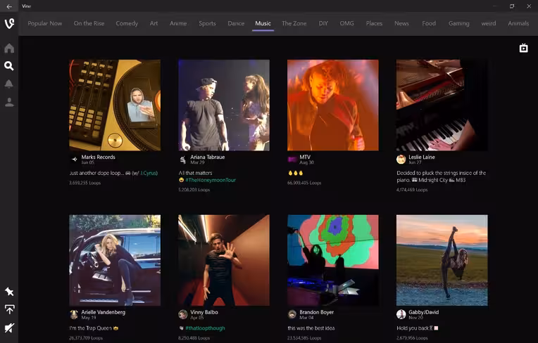 Vine-image-1