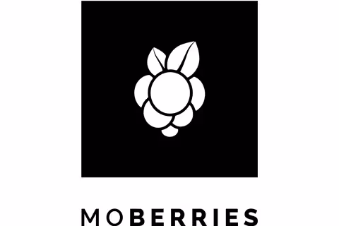 eee13-Moberries