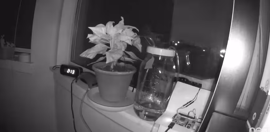 Screen Shot 2016-06-30 at 11.13.46