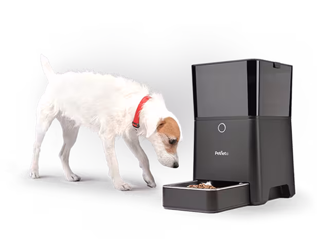 image-smartfeeder_dog-2x-1606439b502e40fa63d156edd7975f76