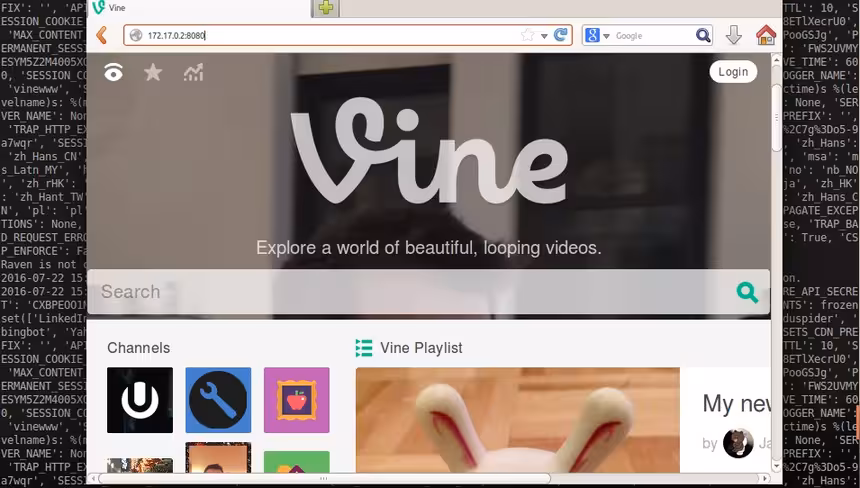 local vine