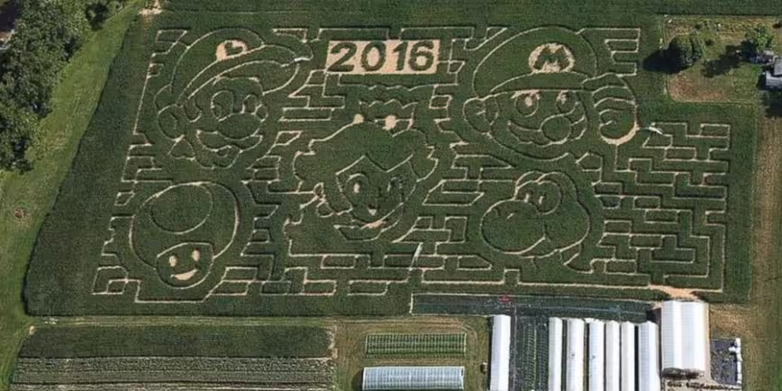 There’s a Super Mario-themed corn maze and we want to go to here Featured Image