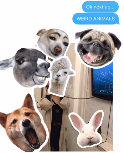 imessage3
