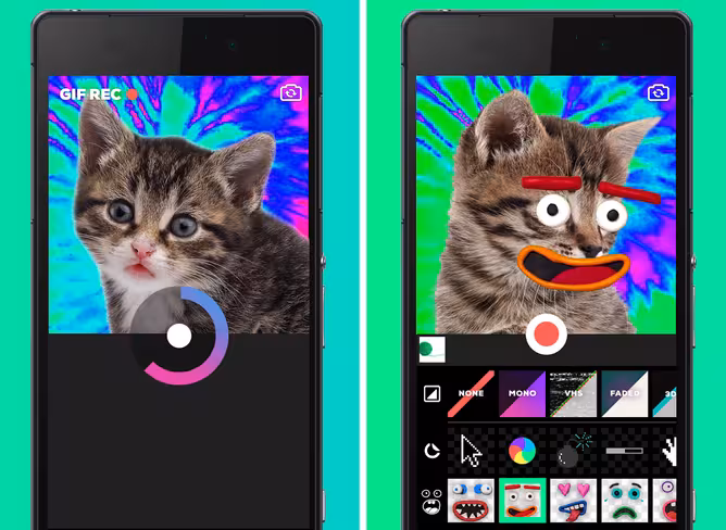 giphy-cam-screens