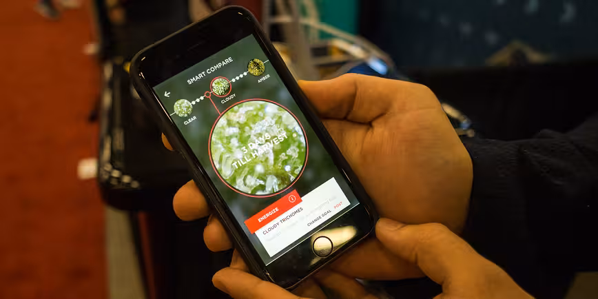 Snaphash is an augmented reality weed doctor for your iPhone