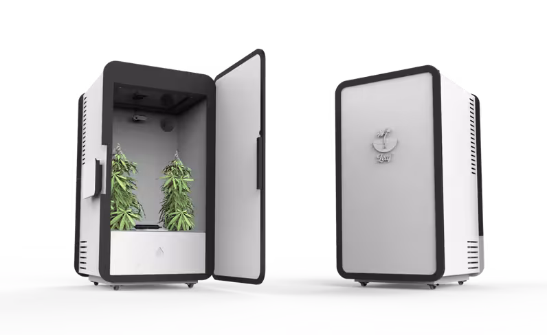 weed-growing-machine