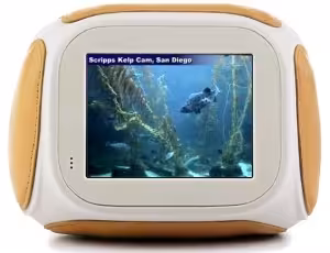 The Chumby Classic featured a squeezable body and a 3.5-inch display