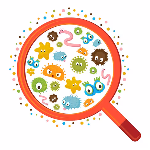 A day in the life of a malware analyst