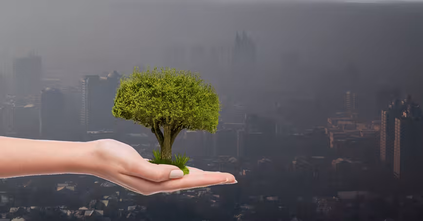 Chile’s pollution problem has led to green startups