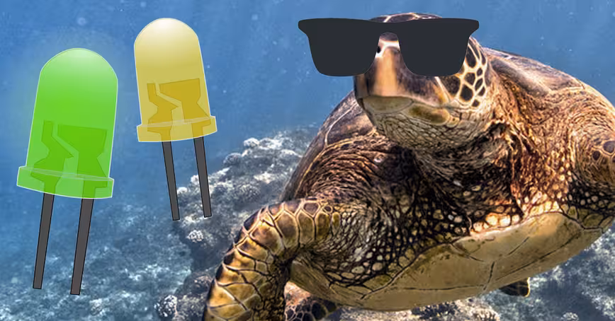 Artificial light is harmful to animals, but thanks to this tool it doesn’t have to be