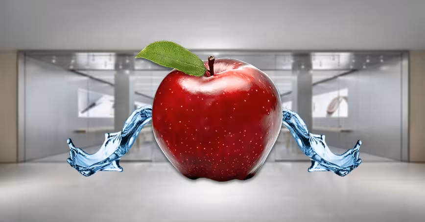 Apple accidentally confirms its iPhones will be called ‘Xs,’ ‘Xs Max,’ and ‘Xr’