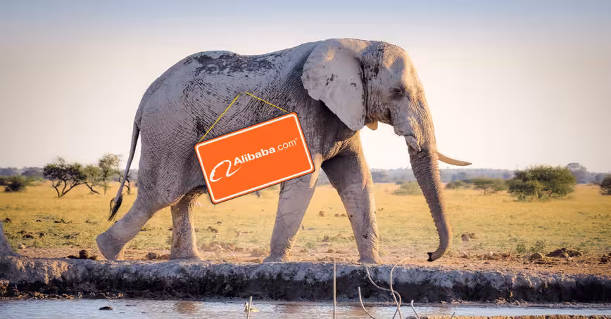 September in Africa: Alibaba saves wildlife and Google Partners comes to Nigeria Featured Image