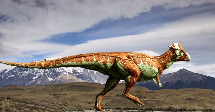 New species of dinosaur discovered in Neuquen, Patagonia