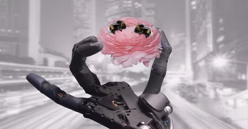 Is there a more environmentally friendly way to train AI?