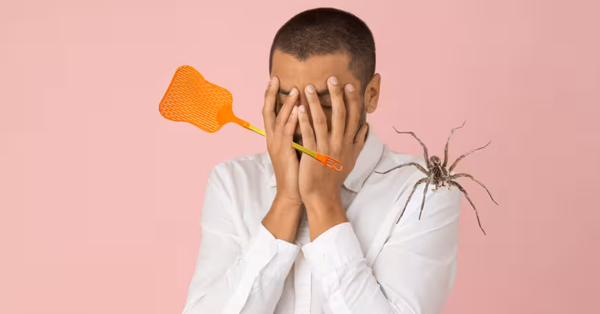Science says you shouldn’t kill spiders in your home