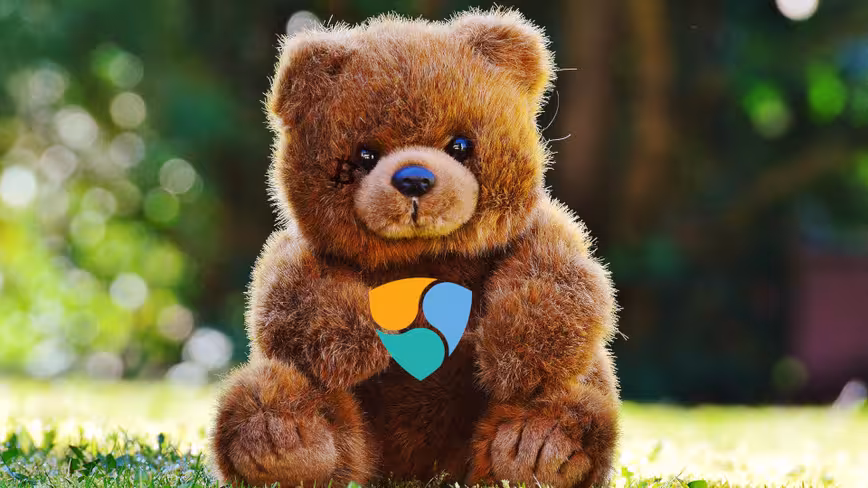 Cryptocurrency startup NEM discloses layoffs and wasteful budget