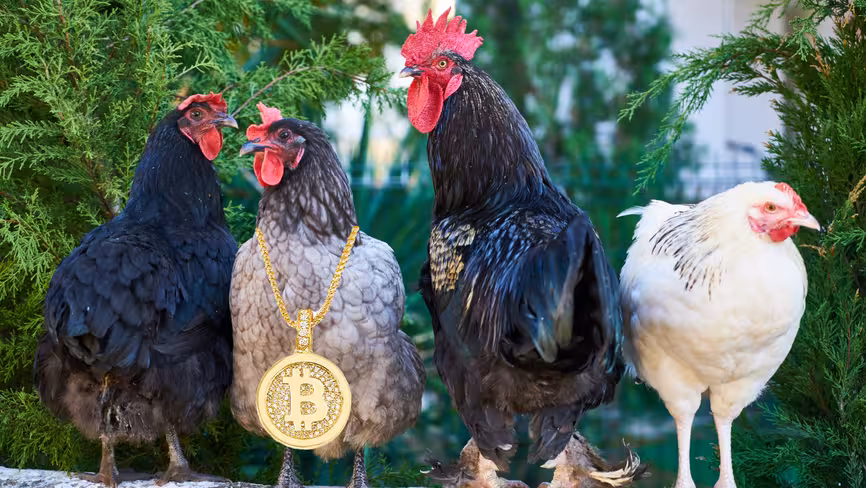 JD.com says putting chickens on the blockchain was great for business