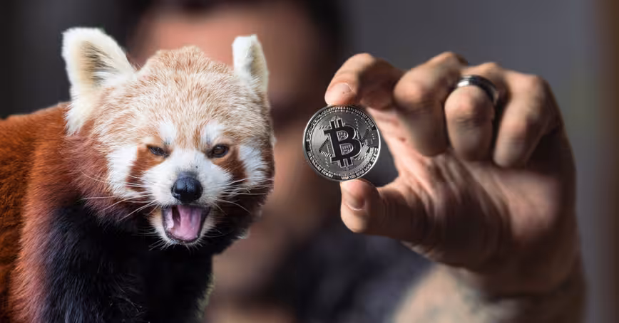 Welcome to the longest Bitcoin bear market in history