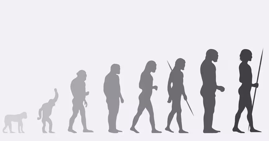 Why this geneticist says we should stop human evolution