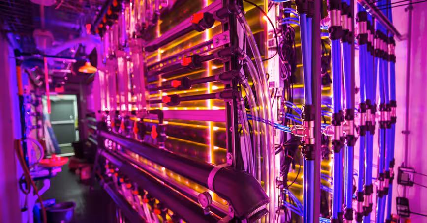 Microalgae could be the future of sustainable farming